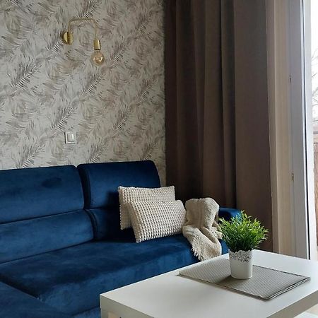 Apartament Skamander Stary Toruń Dış mekan fotoğraf