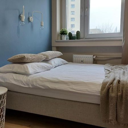 Apartament Skamander Stary Toruń Dış mekan fotoğraf