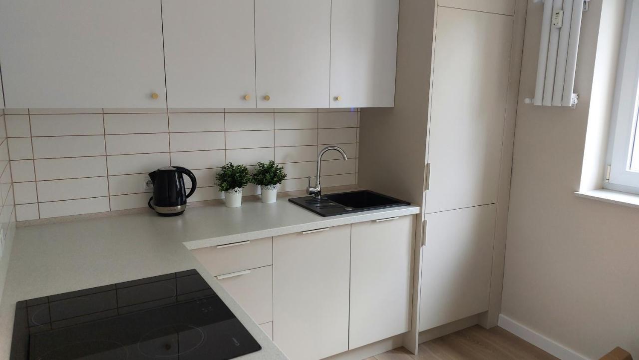 Apartament Skamander Stary Toruń Dış mekan fotoğraf