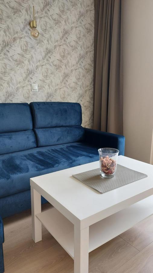Apartament Skamander Stary Toruń Dış mekan fotoğraf