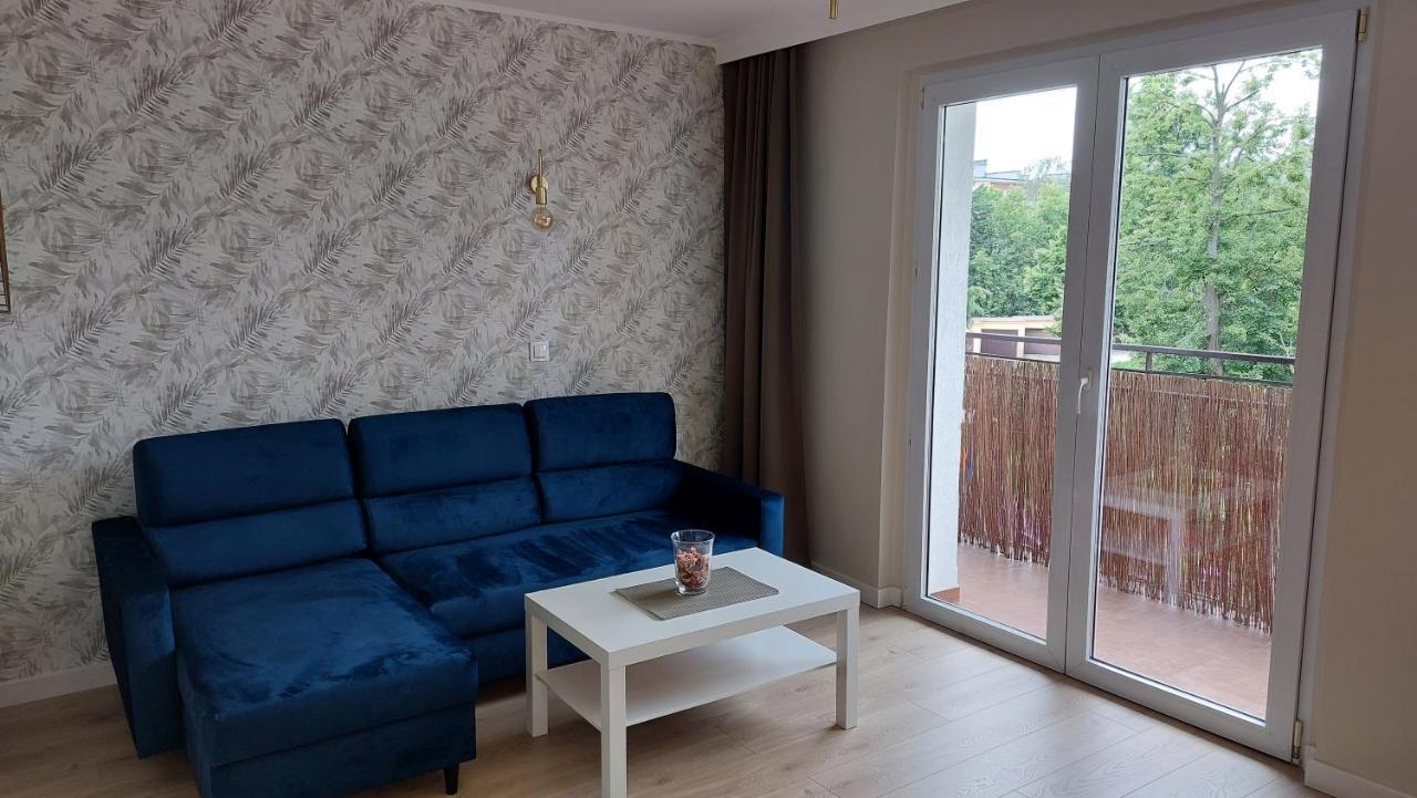 Apartament Skamander Stary Toruń Dış mekan fotoğraf